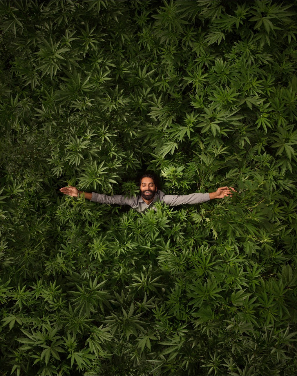 Stoners Are More Empathetic, New Research Finds