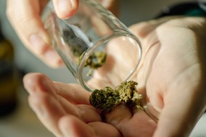 weed