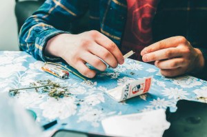 joint, cannabis, rolling, rolling derby, stoner